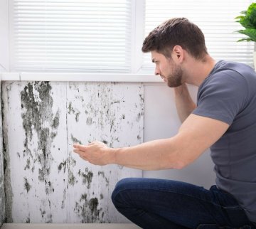 Votre logement est insalubre ?