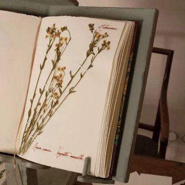 Atelier famille · De la forêt à l'herbier