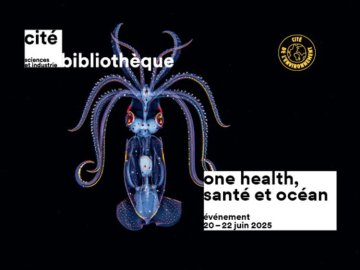 Au rythme de la mer : nourrir sans épuiser