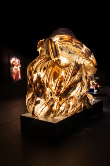 Exposition "Cohabiter avec la lumière" par Isabelle Senly