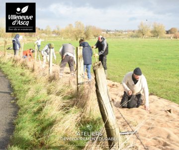 Reportée - Plantation d’une haie bocagère