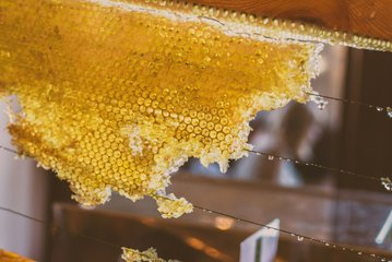 Atelier parent-enfant : le miel et les abeilles avec Alexis Soubie