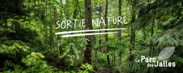 Balade nature du Parc des Jalles : Atelier nature pour les petits