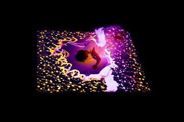 "FLUX", Compagnie Désuète