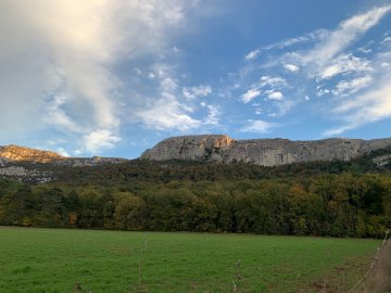 A la découverte de la forêt de la sainte Baume