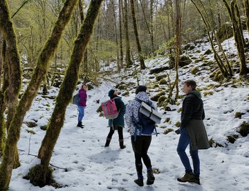 Balade ressourçante "La Vie secrète de la forêt"