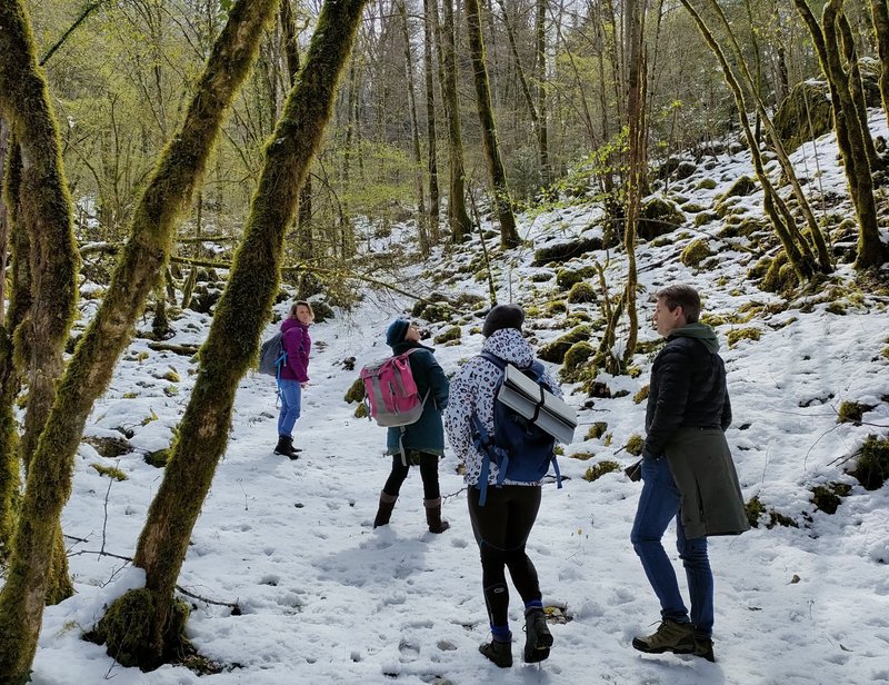 Balade ressourçante "La Vie secrète de la forêt"