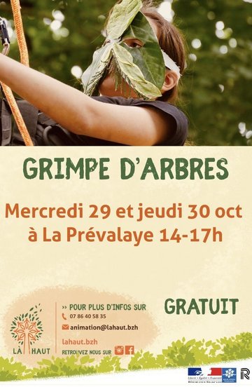 Grimpe d'Arbres