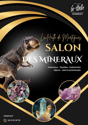 SALON DES MINERAUX