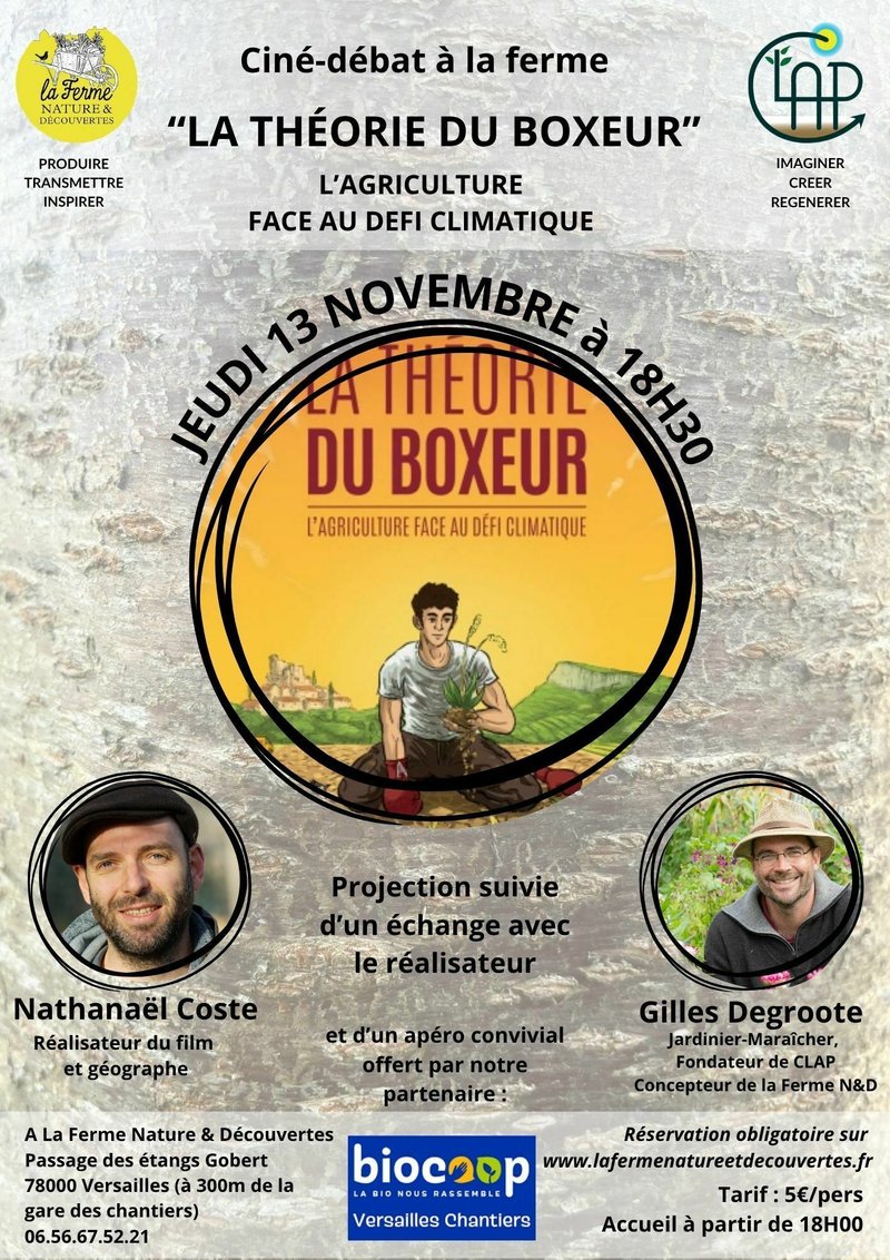 Projection de "La théorie du boxeur"