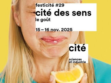 Bar à tisanes : découvertes végétales et infusions de goûts