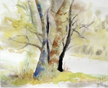 Initiation à l'aquarelle