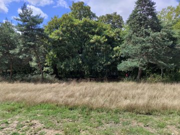 Parcours bien-être Bois de Vincennes - Respiration - Méditation - Sophrologie -Difficulté 2