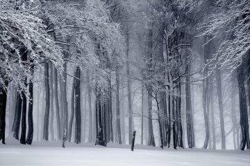 "LE SONGE D'UNE NUIT D'HIVER", Nathan Croquet et La Classe d'Après