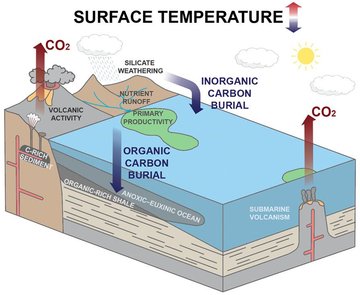 Chaud ou froid : comment les plus grands phénomènes volcaniques de la Terre ont influencé le cycle du carbone et le climat