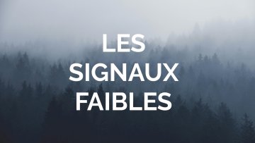 LES SIGNAUX FAIBLES