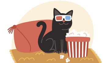 Ciné surprise