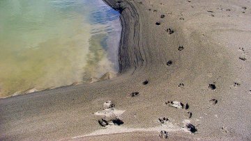 Traces et indices de présence, qui vit autour de nous ?