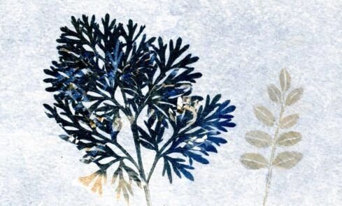 Le monotype : entre gravure et peinture / avec l'Académie d'art de Meudon