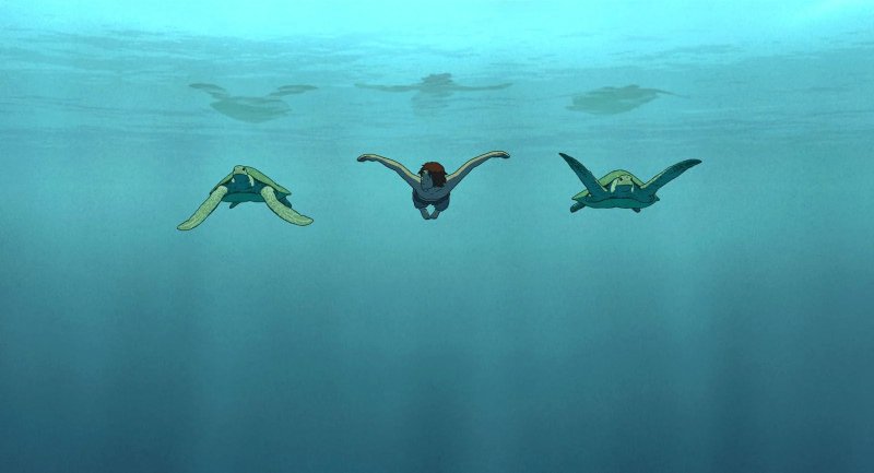 Cinémaniacs | La Tortue Rouge