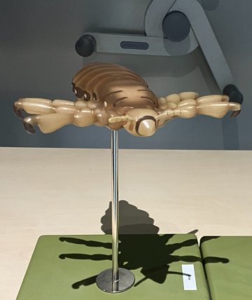 Atelier "une vie de poux"