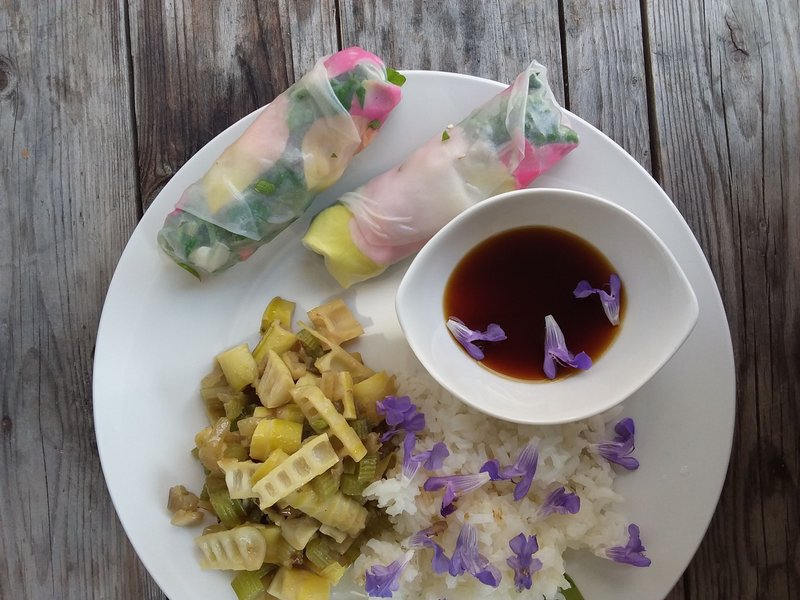 Cueillette et cuisine sauvage