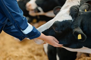 De la peste noire au COVID-19 : l’essor des maladies venues des animaux