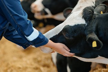 De la peste noire au COVID-19 : l’essor des maladies venues des animaux