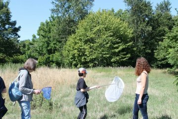A la découverte des papillons