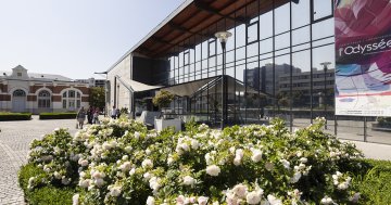[ANNULÉ] Semaine festive : portes ouvertes du conservatoire