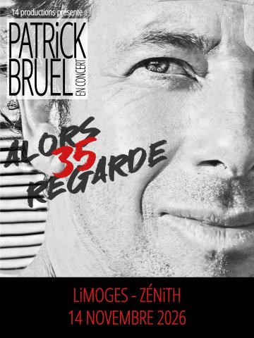 Patrick Bruel en concert au Zénith de Limoges