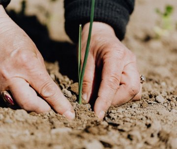 Atelier QUBS – Qualité biologique des sols