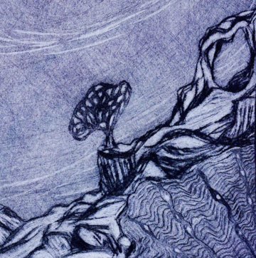 Amélie GEORGE "Abysses & autres curiosités" - Gravures & estampes