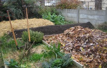 Jardinons ! Comprendre les grands principes de la permaculture