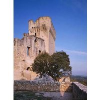 Abbaye de montmajour