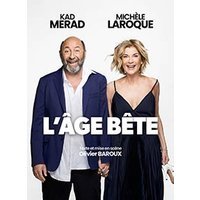 Michele laroque et kad merad