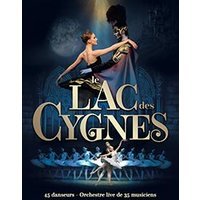 Le lac des cygnes international ballet