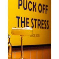 Pucks - session de shuffleboard