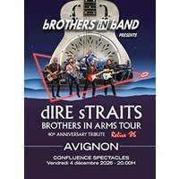 Dire straits brothers in arms