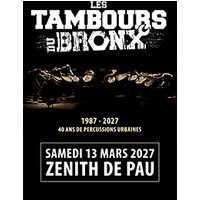 Les tambours du bronx