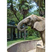Zoo de barcelona