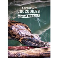 La ferme aux crocodiles - haute saison