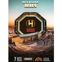 Hexagone mma orange