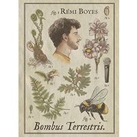 Remi boyes