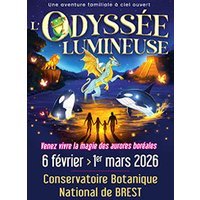 L'odyssee lumineuse - billet open
