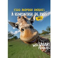 Wow safari peaugres - liberté