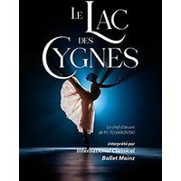 Lac des cygnes