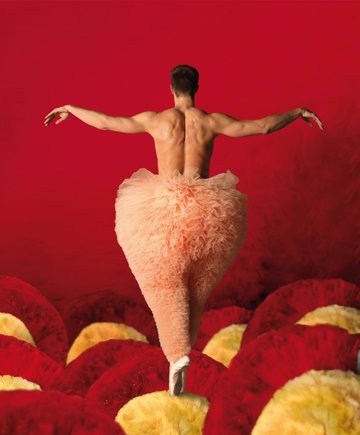 Tutu