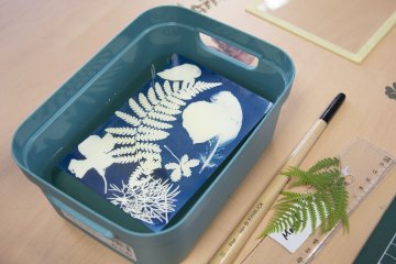 Atelier créatif Adultes - "LES HERBIERS CYANOTYPES"