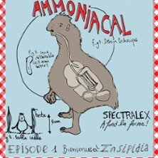 Arnaud Aymard - Ammoniacal - Le Solo, Paris